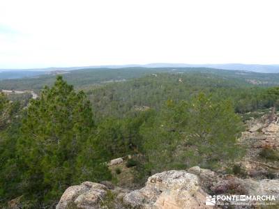 Pinares, Riscos y Atalayas; ruta senderismo madrid; rutas faciles senderismo madrid